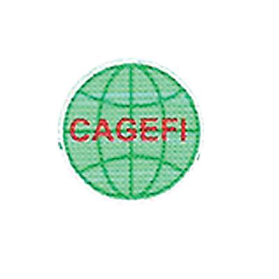 CAGEFI (CENTRE D'ASSISTANCE DE GESTION D'ETUDES ET DE FISCALITE)