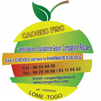 CAOGEC FISC (CABINET D'ASSISTANCE, ORGANISATION ET GESTION COMPTABLE ET FISCALE)